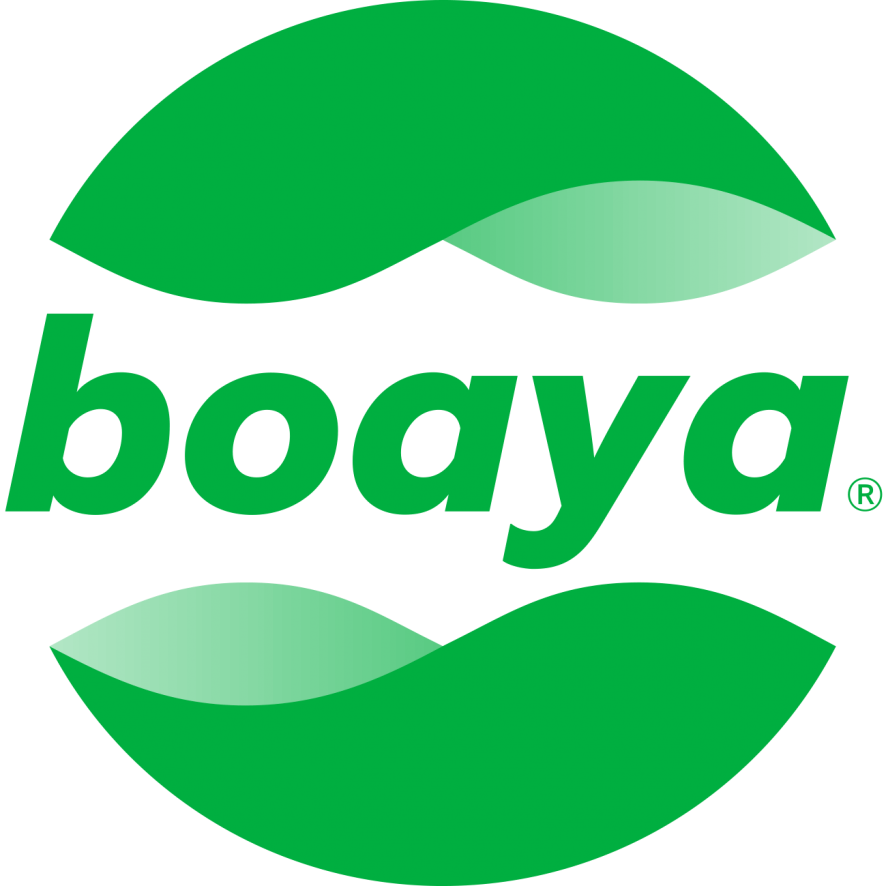nueva web de Boaya